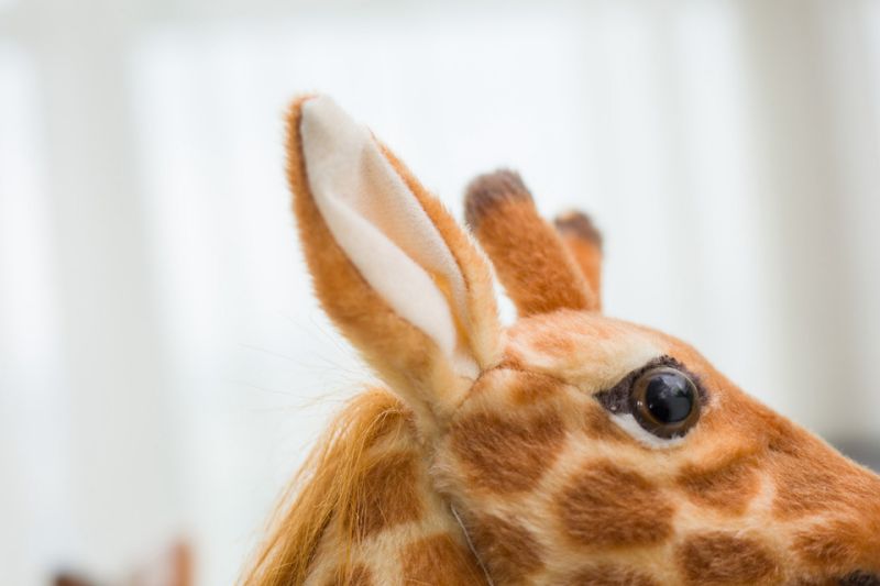 Giraffe Plush Toys