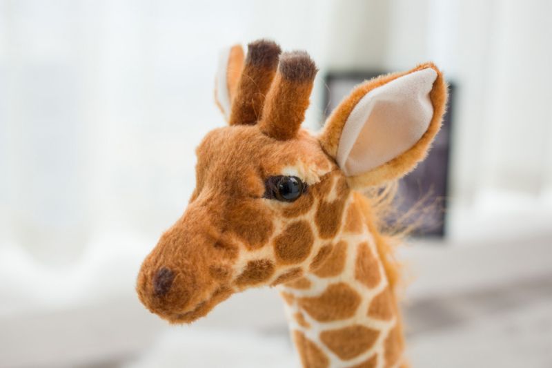 Giraffe Plush Toys