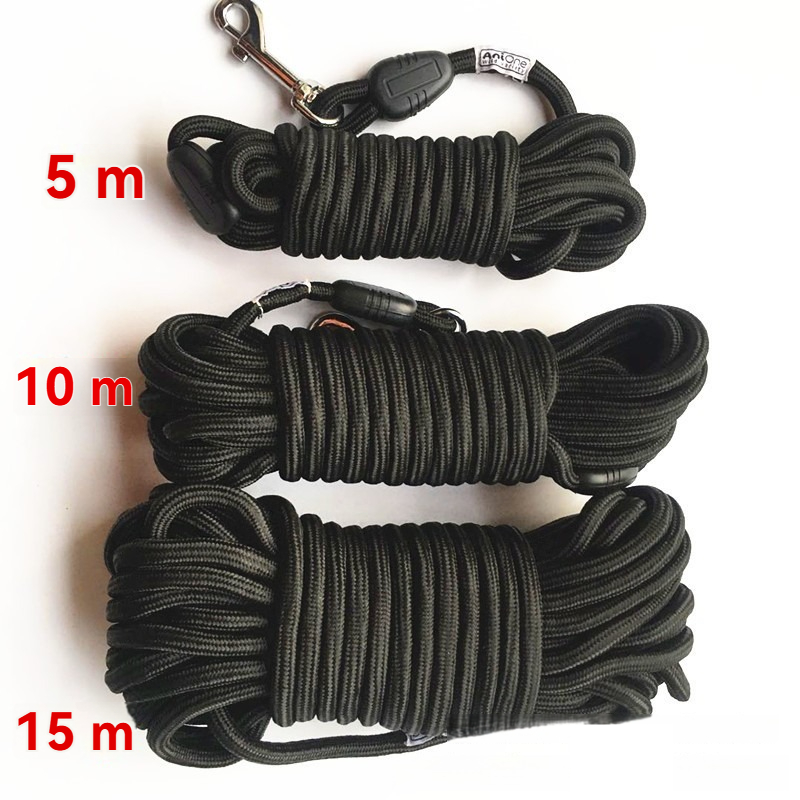 longe pour chien tailles
