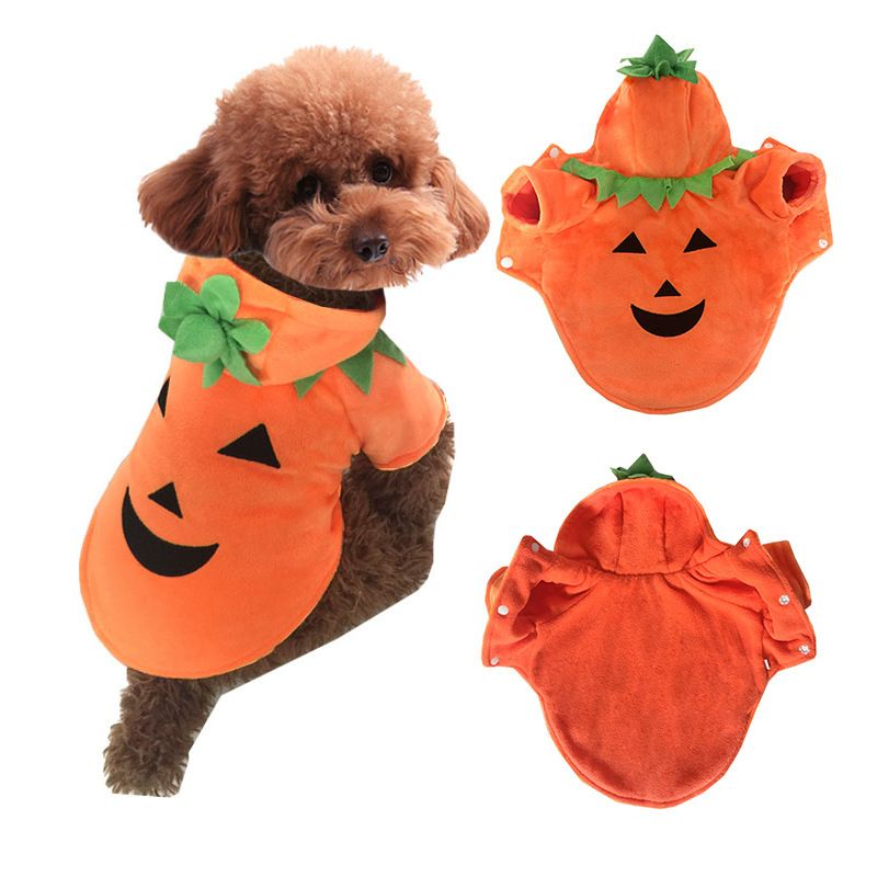 This Pet Pumpkin Halloween Costume is sure to be a trick-or-treat hit! Get your pup ready for the spookiest night of the year with a comfy and cute costume to make all your friends ooh and aah!  Your pup will be ready to party, trick-or-treat, and have lots of Halloween fun in this cozy and adorable costume! Get ready for the compliments to roll in!